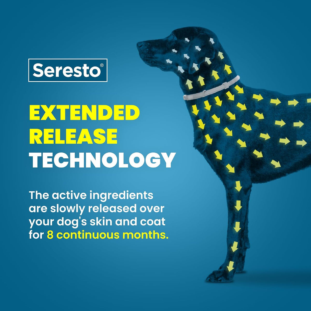 Seresto 8-Month Flea & Tick Collar for Small Dogs Under 18 lbs., 1ct